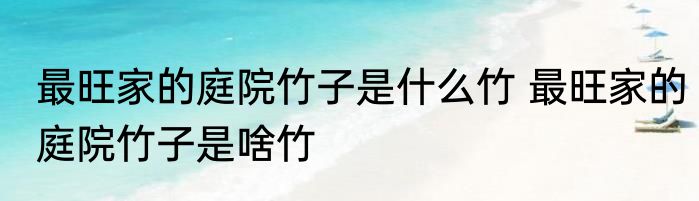 最旺家的庭院竹子是什么竹 最旺家的庭院竹子是啥竹