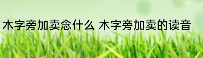 木字旁加卖念什么 木字旁加卖的读音