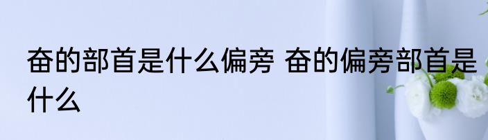 奋的部首是什么偏旁 奋的偏旁部首是什么