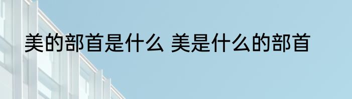 美的部首是什么 美是什么的部首