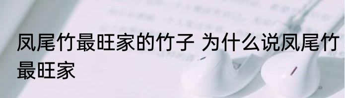 凤尾竹最旺家的竹子 为什么说凤尾竹最旺家
