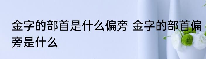 金字的部首是什么偏旁 金字的部首偏旁是什么