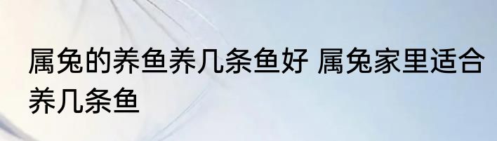 属兔的养鱼养几条鱼好 属兔家里适合养几条鱼