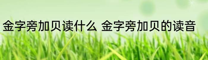 金字旁加贝读什么 金字旁加贝的读音