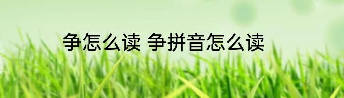 争怎么读 争拼音怎么读