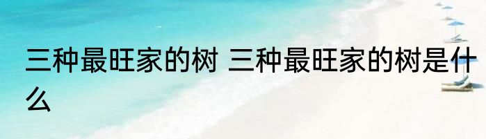 三种最旺家的树 三种最旺家的树是什么