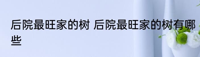后院最旺家的树 后院最旺家的树有哪些