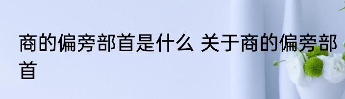 商的偏旁部首是什么 关于商的偏旁部首