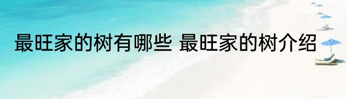 最旺家的树有哪些 最旺家的树介绍