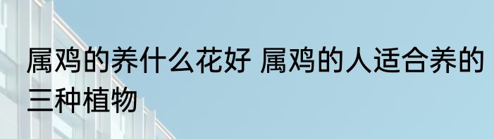 属鸡的养什么花好 属鸡的人适合养的三种植物