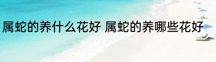 属蛇的养什么花好 属蛇的养哪些花好