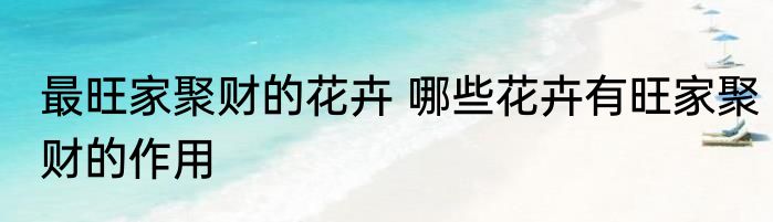 最旺家聚财的花卉 哪些花卉有旺家聚财的作用