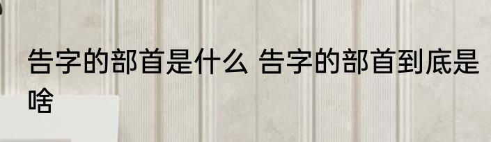 告字的部首是什么 告字的部首到底是啥