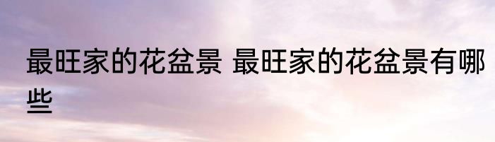 最旺家的花盆景 最旺家的花盆景有哪些