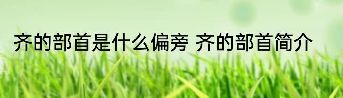 齐的部首是什么偏旁 齐的部首简介