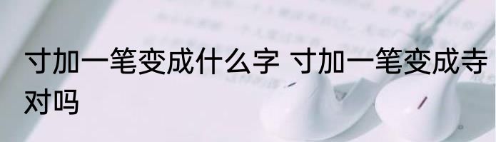 寸加一笔变成什么字 寸加一笔变成寺对吗