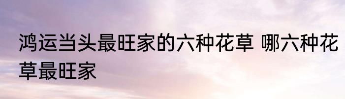 鸿运当头最旺家的六种花草 哪六种花草最旺家