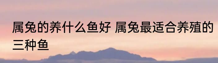 属兔的养什么鱼好 属兔最适合养殖的三种鱼