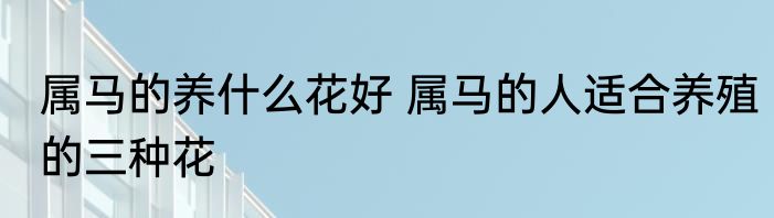 属马的养什么花好 属马的人适合养殖的三种花