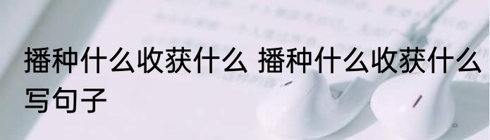播种什么收获什么 播种什么收获什么写句子