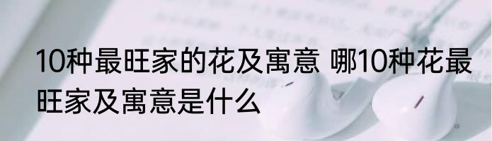 10种最旺家的花及寓意 哪10种花最旺家及寓意是什么