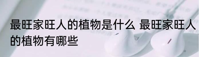 最旺家旺人的植物是什么 最旺家旺人的植物有哪些