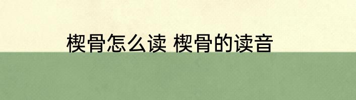 楔骨怎么读 楔骨的读音