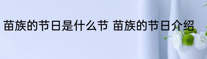 苗族的节日是什么节 苗族的节日介绍