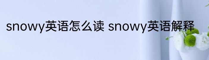 snowy英语怎么读 snowy英语解释