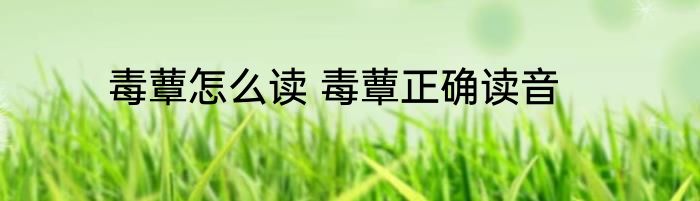 毒蕈怎么读 毒蕈正确读音