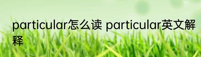 particular怎么读 particular英文解释