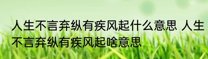 人生不言弃纵有疾风起什么意思 人生不言弃纵有疾风起啥意思