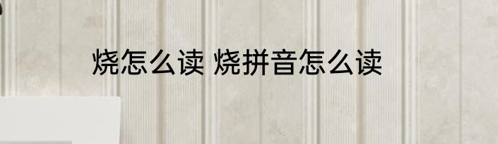 烧怎么读 烧拼音怎么读
