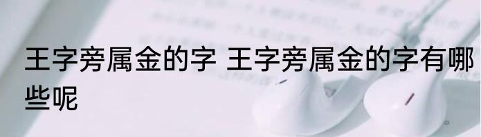 王字旁属金的字 王字旁属金的字有哪些呢