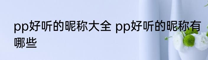pp好听的昵称大全 pp好听的昵称有哪些