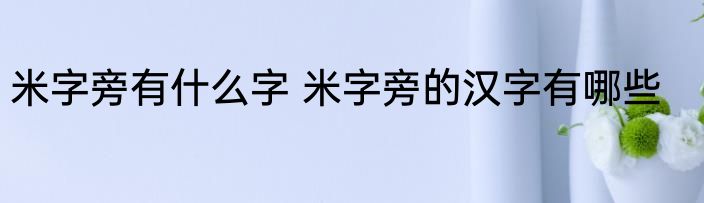 米字旁有什么字 米字旁的汉字有哪些