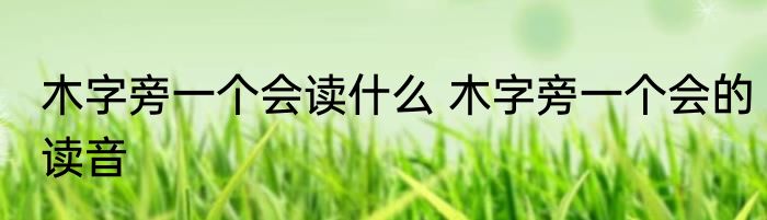 木字旁一个会读什么 木字旁一个会的读音