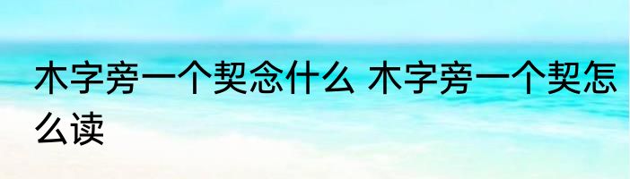 木字旁一个契念什么 木字旁一个契怎么读