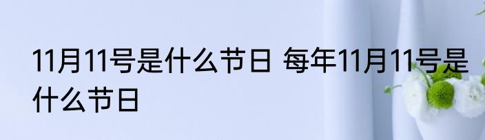 11月11号是什么节日 每年11月11号是什么节日