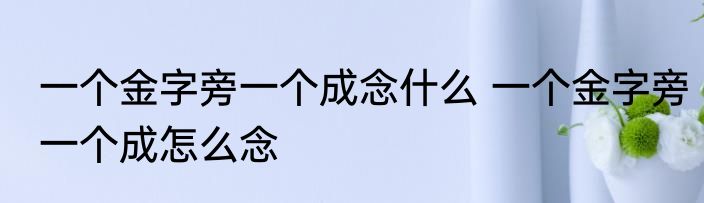 一个金字旁一个成念什么 一个金字旁一个成怎么念