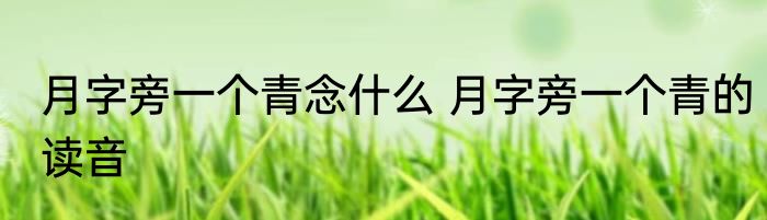 月字旁一个青念什么 月字旁一个青的读音