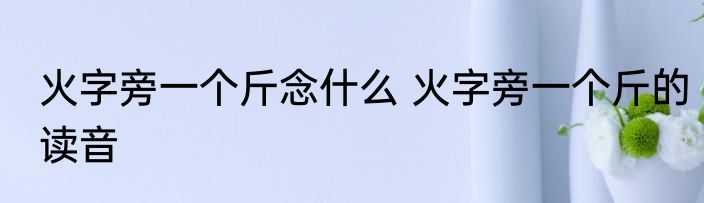 火字旁一个斤念什么 火字旁一个斤的读音