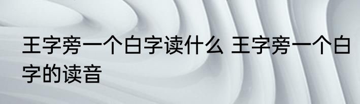 王字旁一个白字读什么 王字旁一个白字的读音