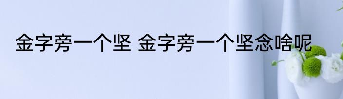 金字旁一个坚 金字旁一个坚念啥呢