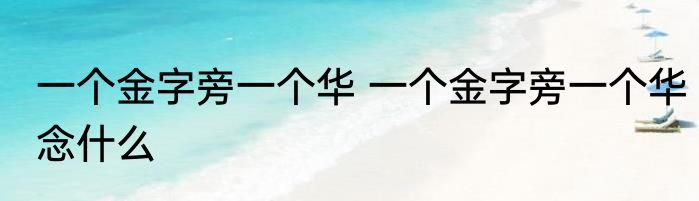一个金字旁一个华 一个金字旁一个华念什么