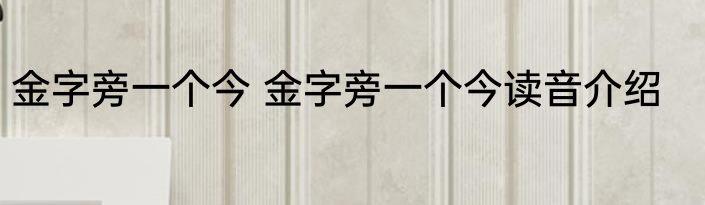 金字旁一个今 金字旁一个今读音介绍