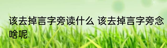 该去掉言字旁读什么 该去掉言字旁念啥呢