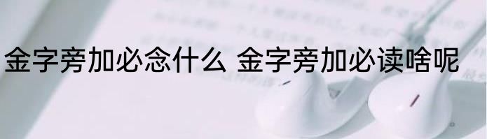 金字旁加必念什么 金字旁加必读啥呢