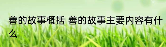善的故事概括 善的故事主要内容有什么