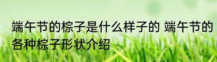 端午节的棕子是什么样子的 端午节的各种棕子形状介绍